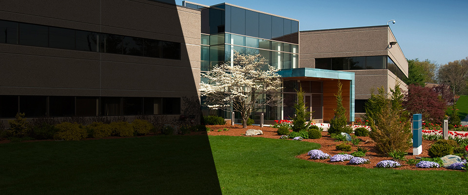 Westfield Landscapers